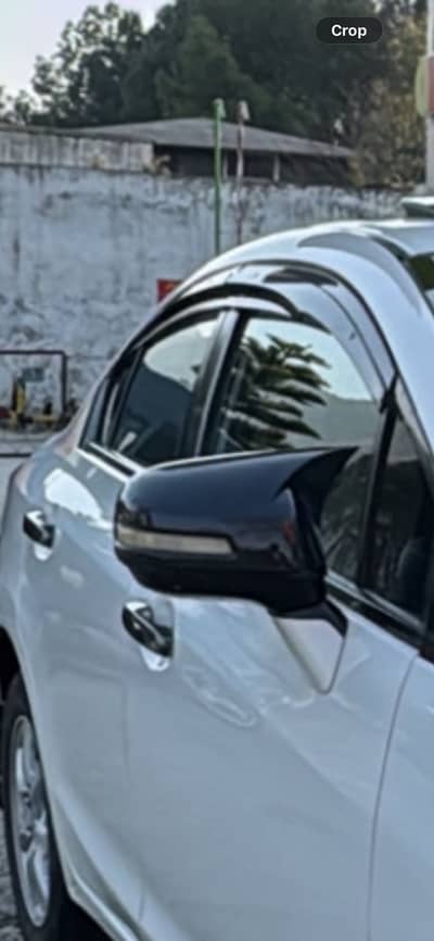 Batman side mirror and door handle