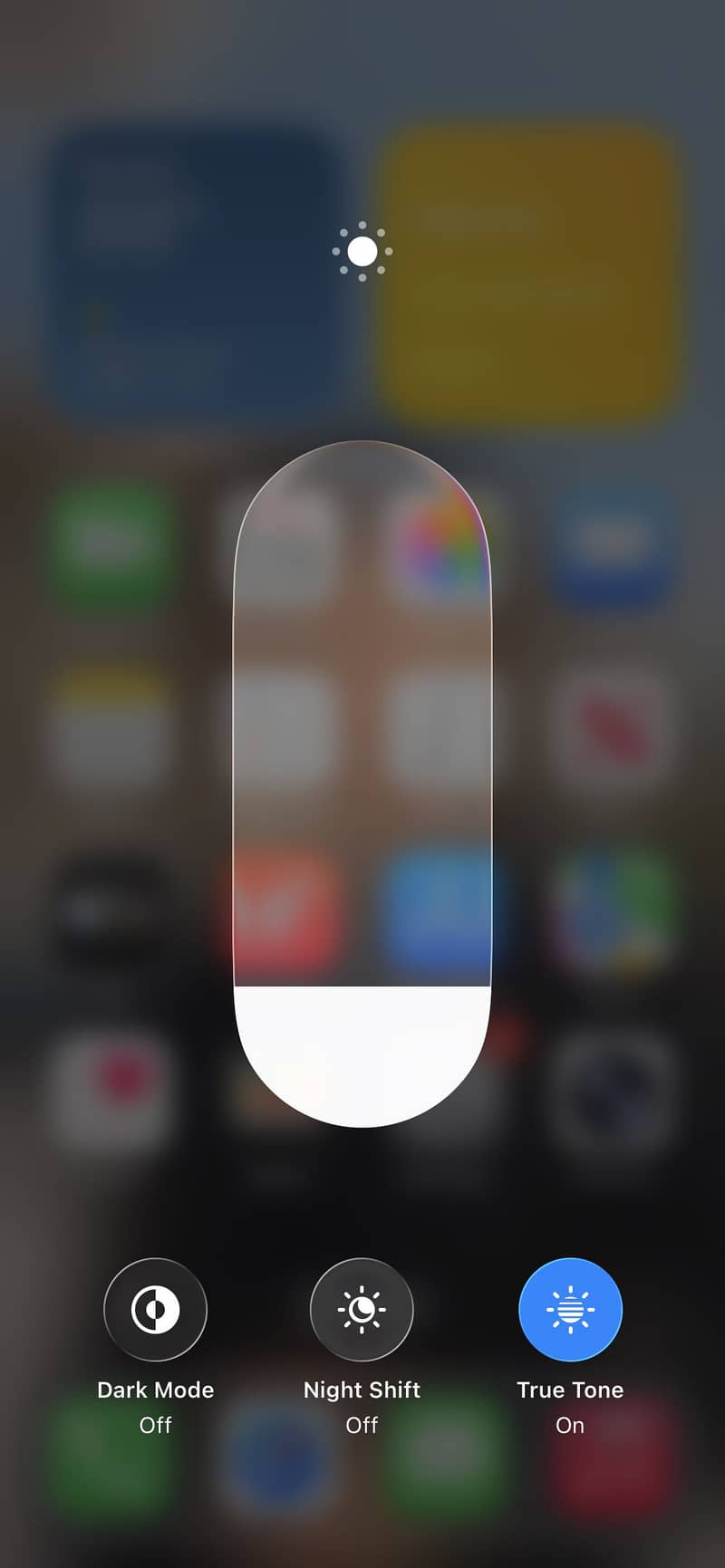 Apple iPhone 13 0