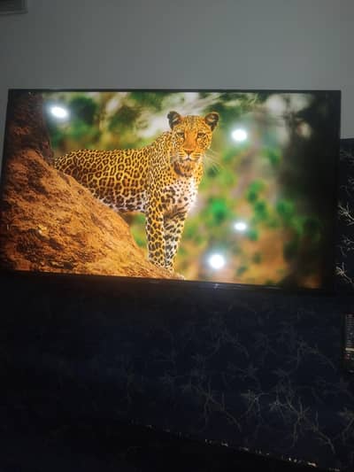 haier 43 inch Android Led for sale