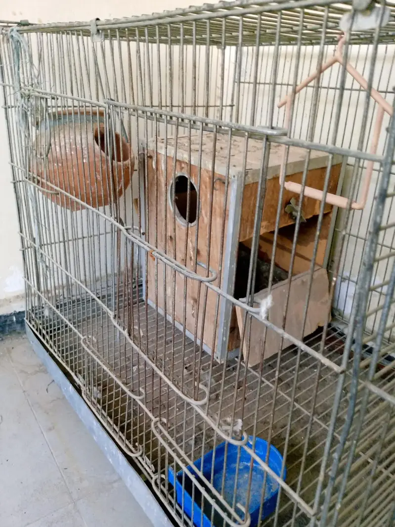 48x22 Inch Bird Cage with Installed Partition — photo 2