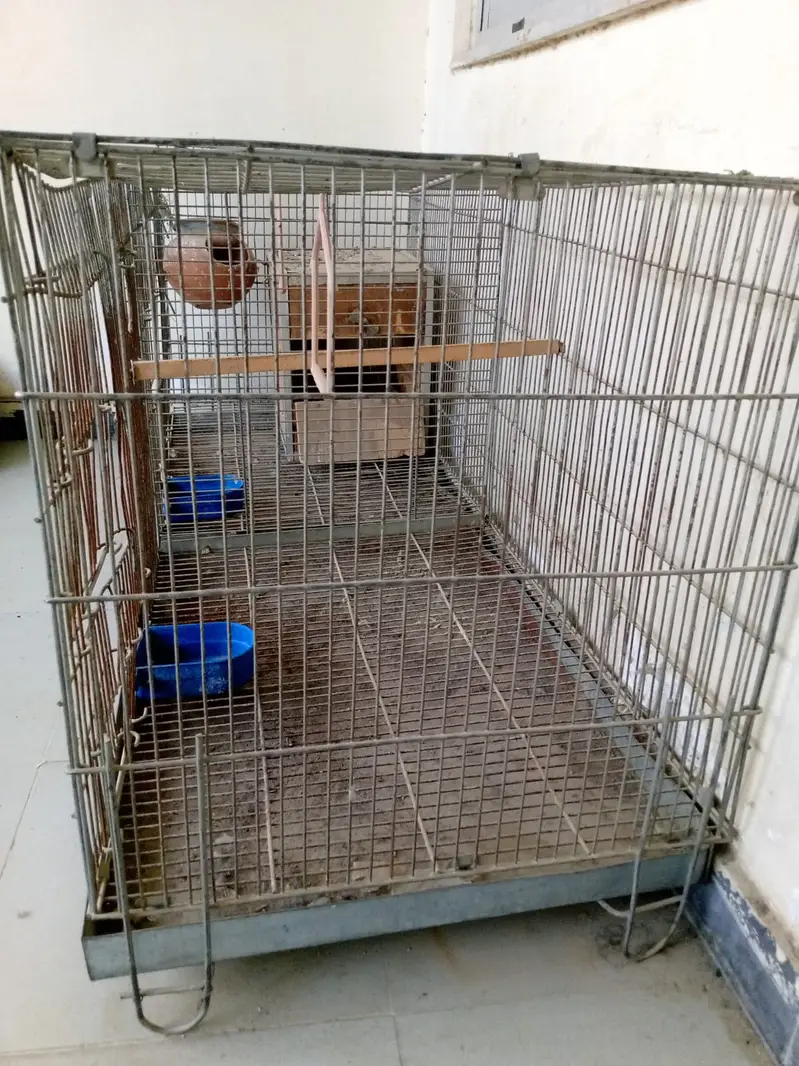 48x22 Inch Bird Cage with Installed Partition — photo 3
