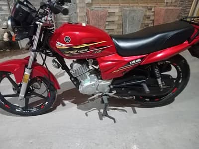 Yamaha bike ybz 125 Dx very very good condition