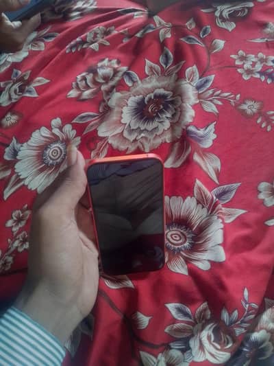 Apple iPhone 12jv