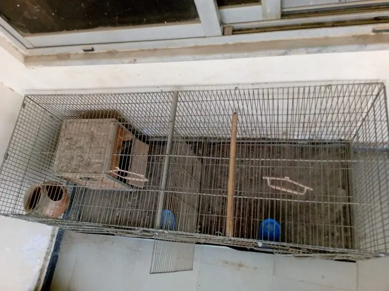 48x22 Inch Bird Cage with Installed Partition — photo 4