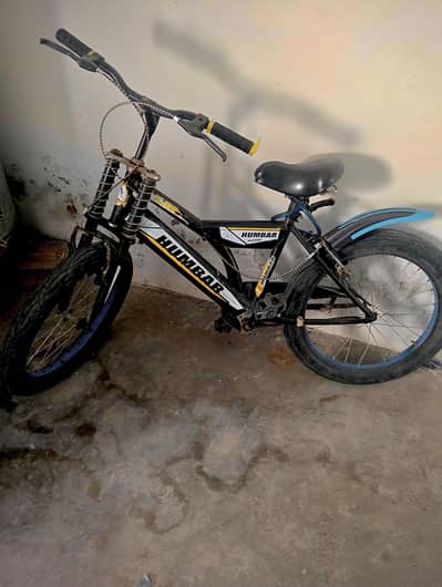 Bicycle  for kids