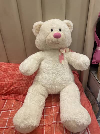 Teddy bear/ stuff toys