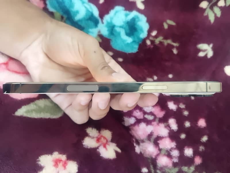Apple iPhone 12 Pro Max 2