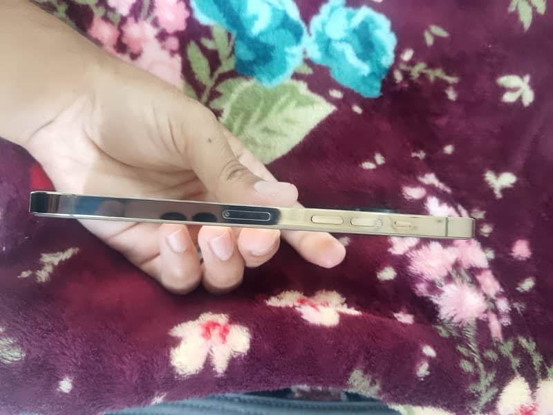 Apple iPhone 12 Pro Max 4