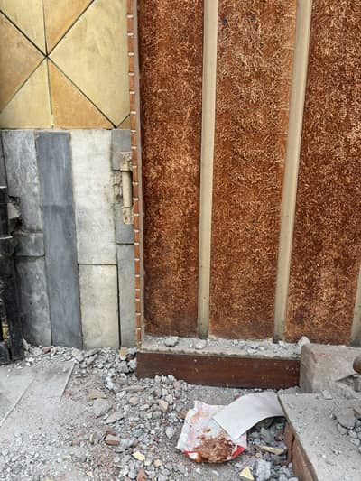 Main Enterance door