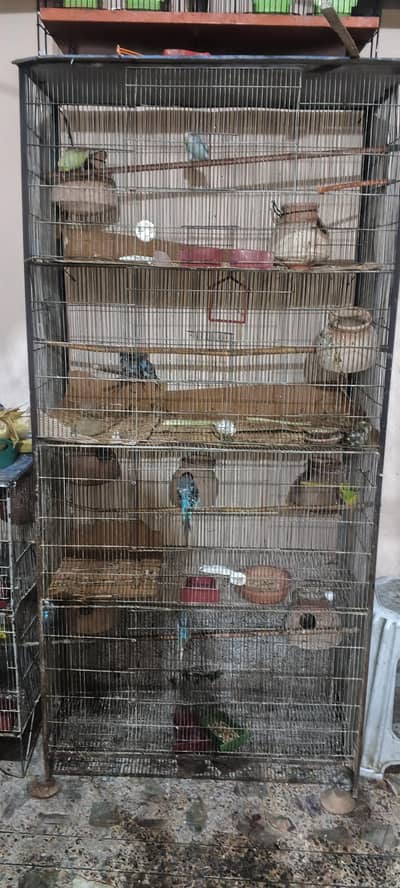 4 portion big cage