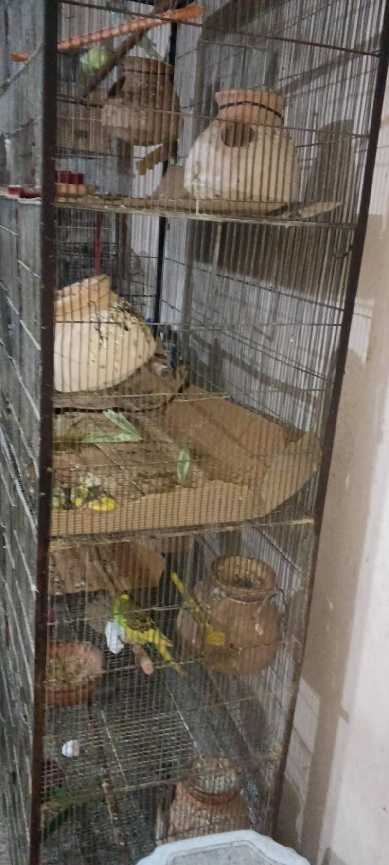 4 portion big cage 2