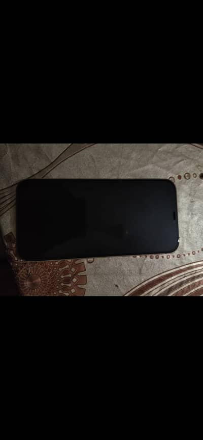 Apple iPhone 12 Pro Max