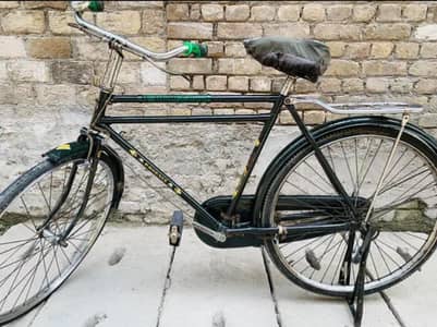 China cycle phoenix for sale 0325=3311626 Whatsapp number