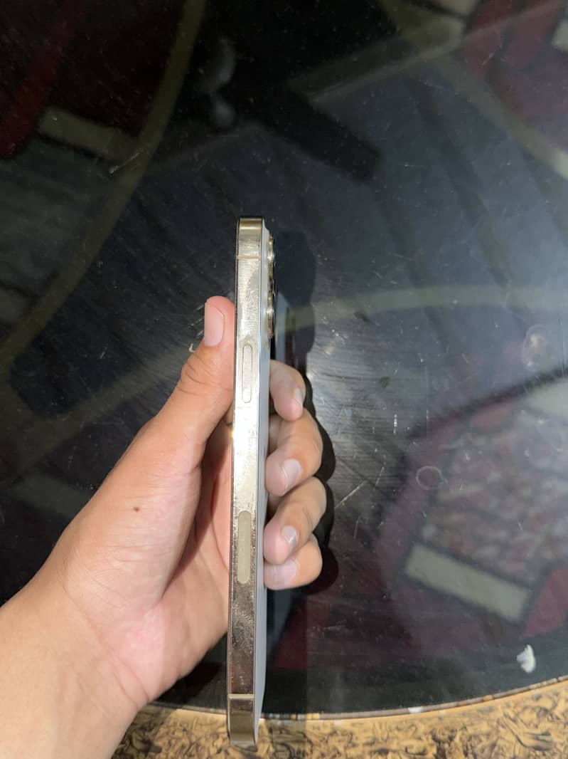 Apple iPhone 13 Pro Max 1