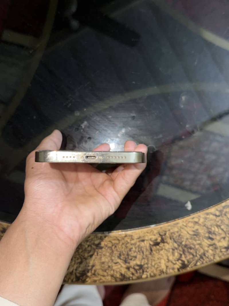 Apple iPhone 13 Pro Max 2
