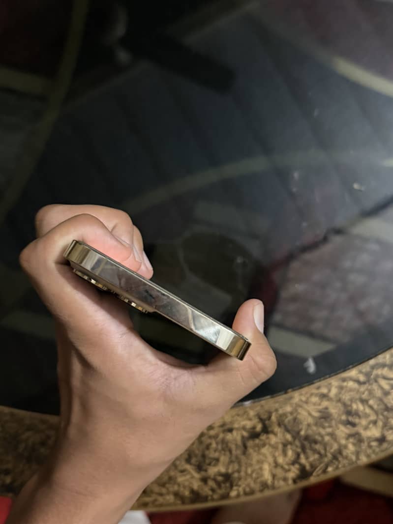 Apple iPhone 13 Pro Max 3