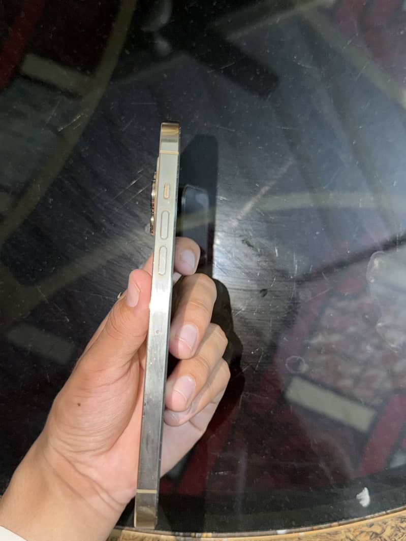 Apple iPhone 13 Pro Max 4