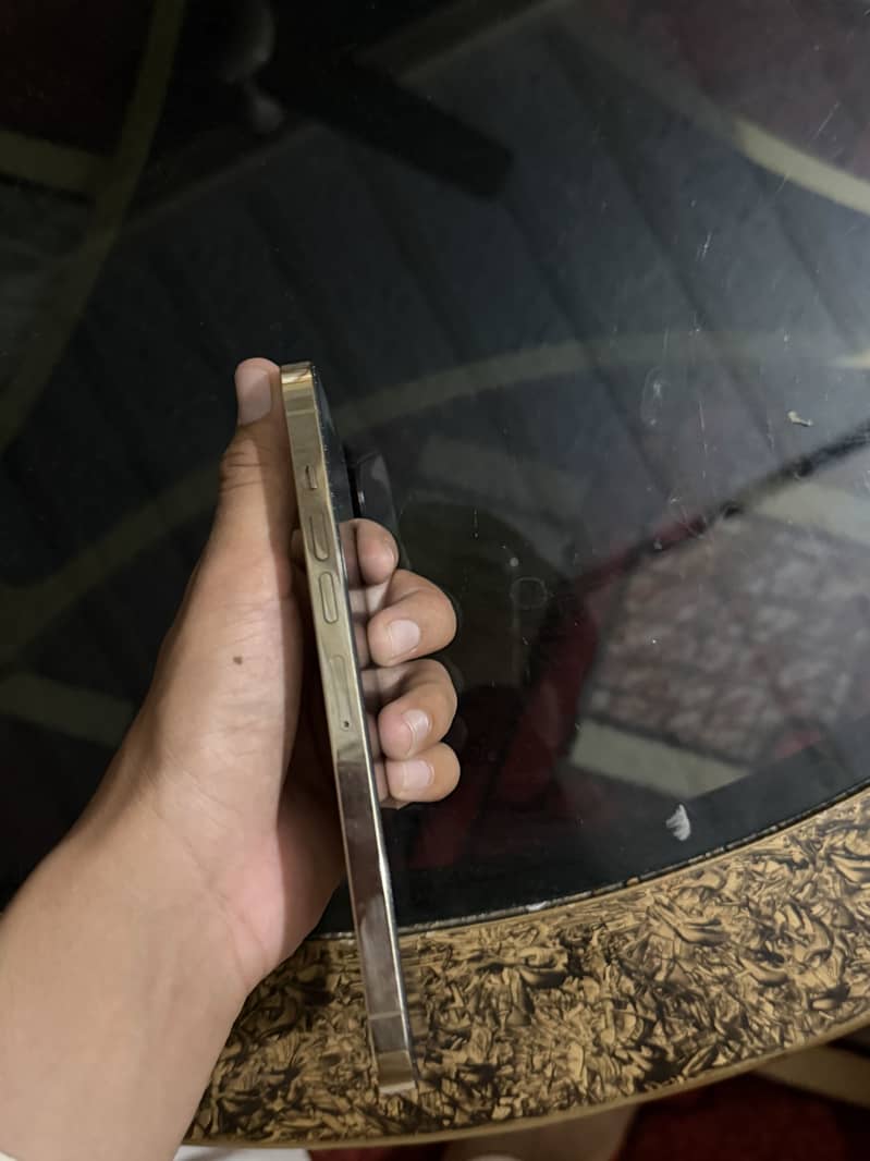 Apple iPhone 13 Pro Max 7