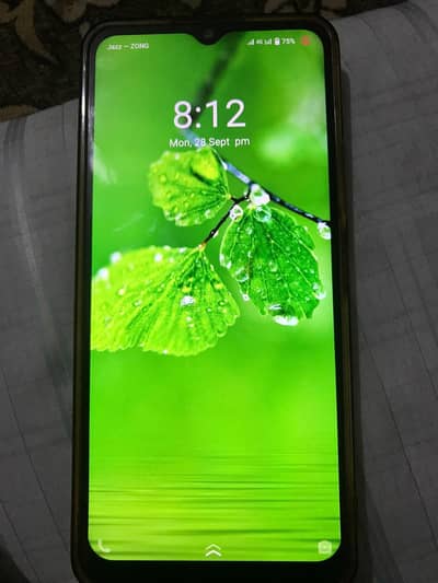 Vivo Y31 4/128