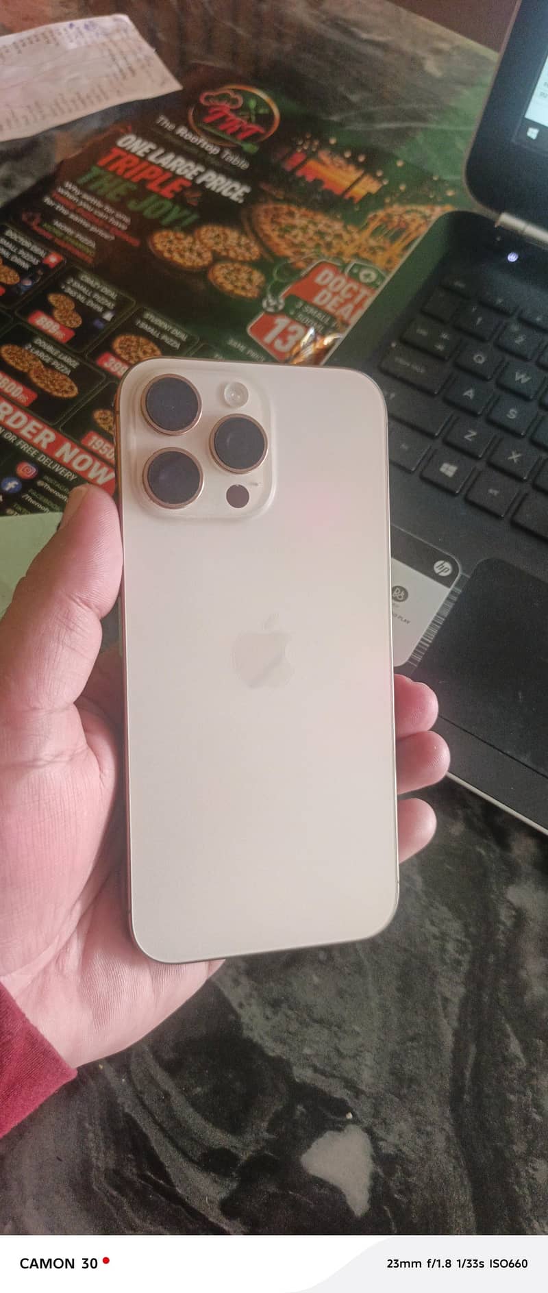 Apple iPhone 16 Pro Max 1
