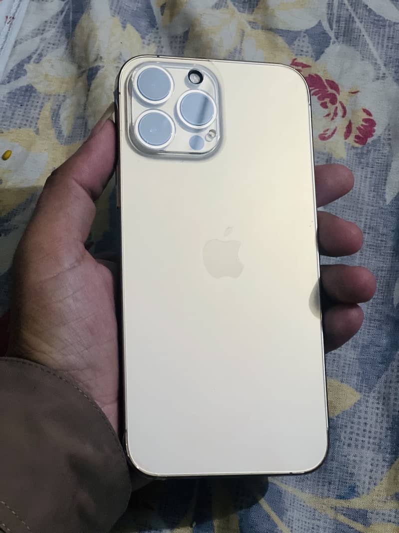 Apple iPhone 13 Pro Max 0