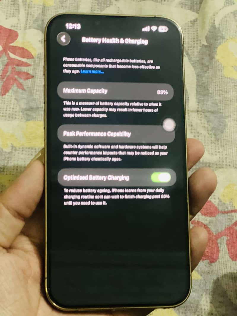 Apple iPhone 13 Pro Max 1