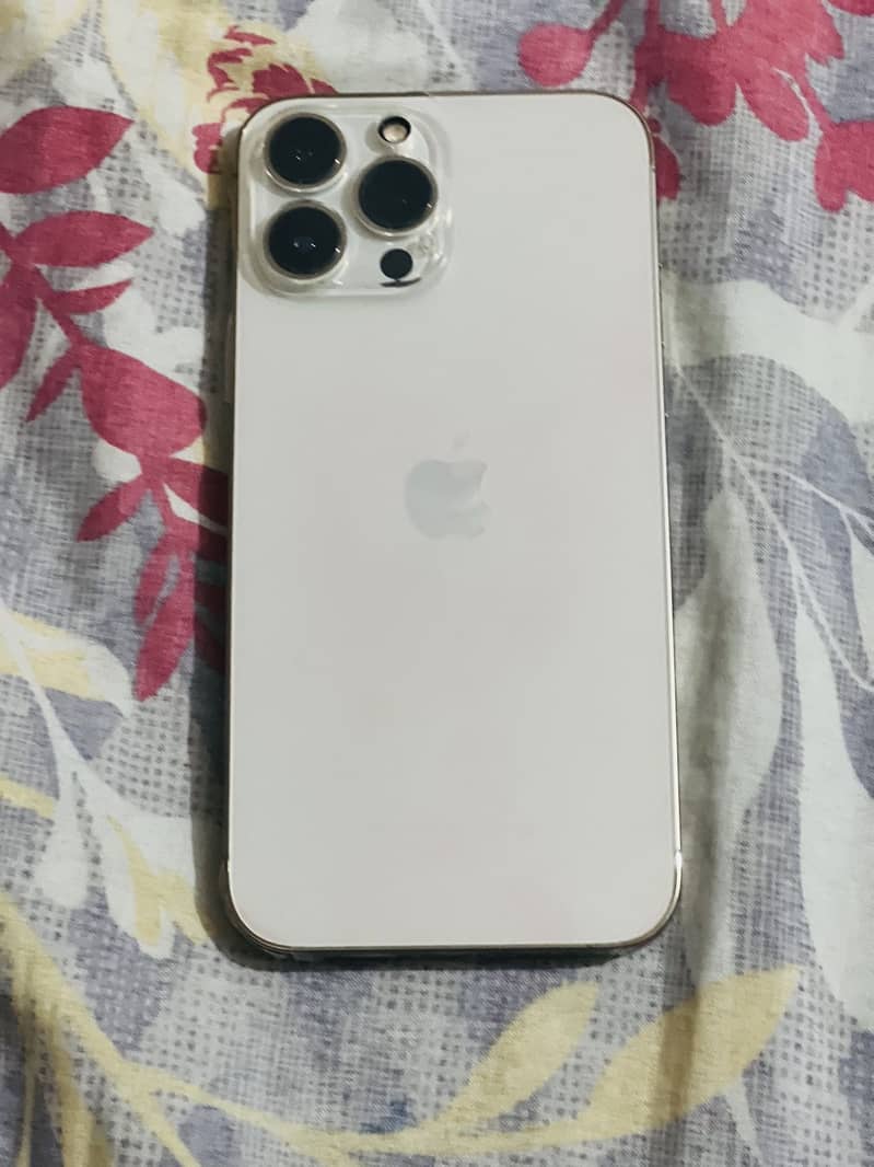 Apple iPhone 13 Pro Max 2