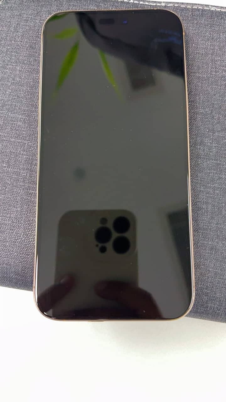 Apple iPhone 16 Pro Max 1