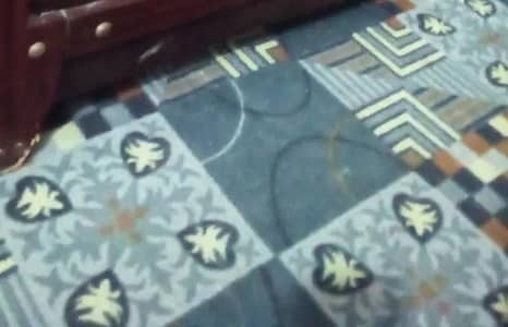 carpet