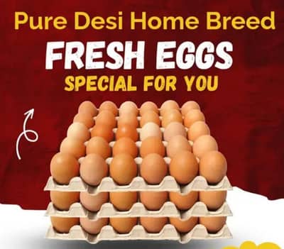 Fresh Desi Anday Farm Rate per available hain