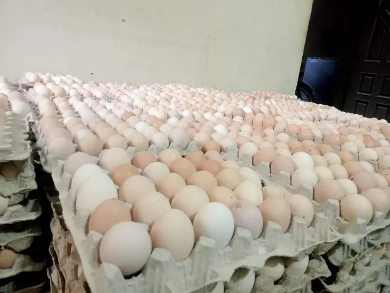 Fresh Desi Anday Farm Rate per available hain — photo 3