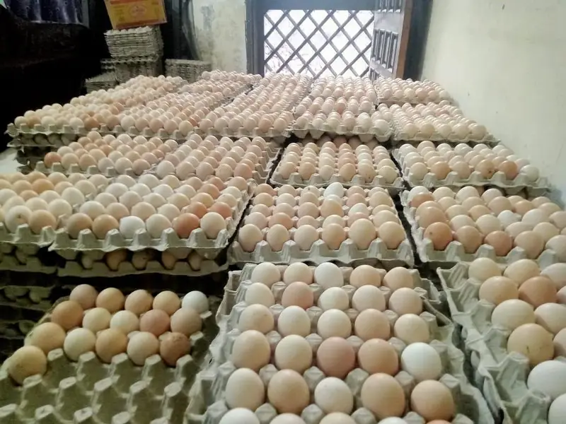 Fresh Desi Anday Farm Rate per available hain — photo 6