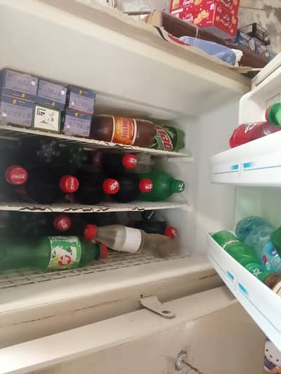 refrigerator and freezer