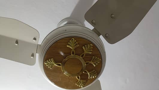 Ceiling Fan Crown Stat 56"