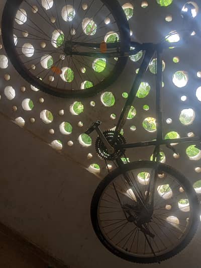 cycle for sale