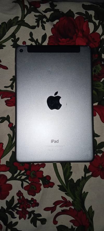 Ipad Mini 4