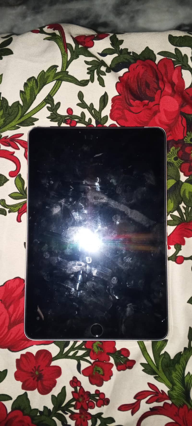 Ipad Mini 4 1