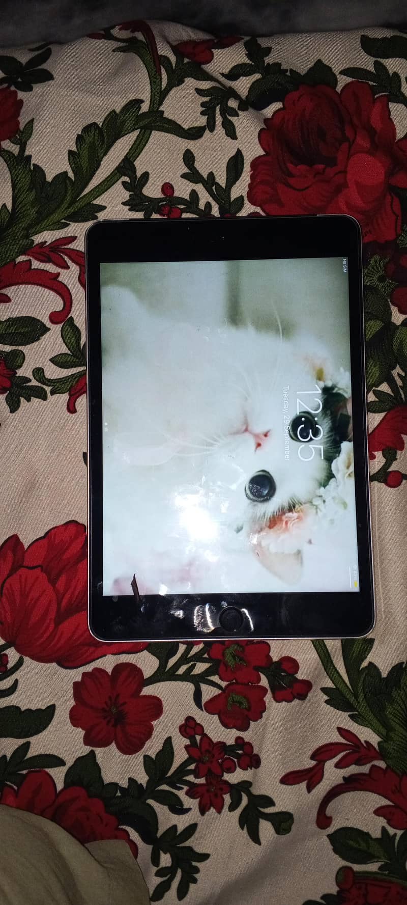 Ipad Mini 4 2