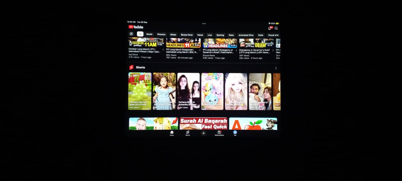 Ipad Mini 4 3