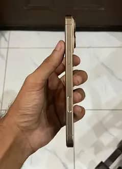 Apple iPhone 16 Pro Max 3