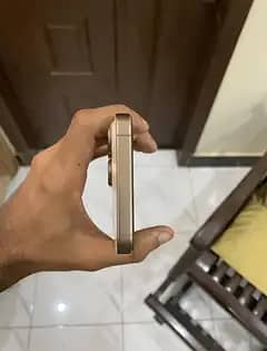 Apple iPhone 16 Pro Max 5