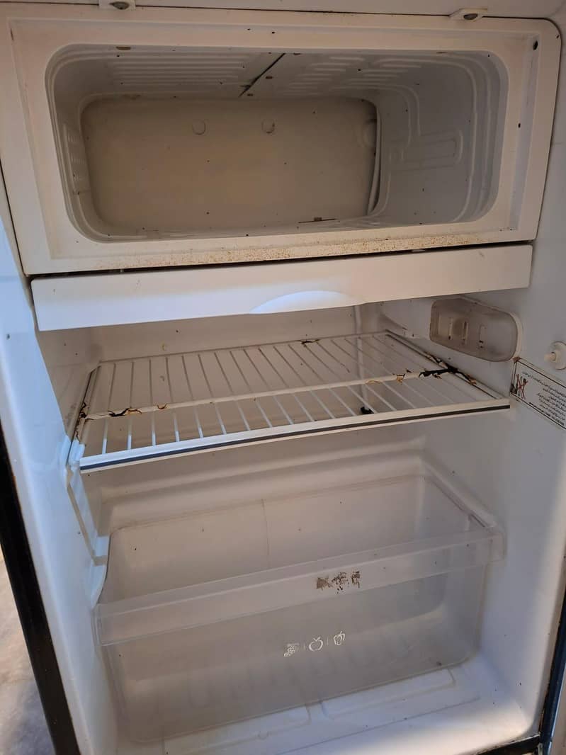 pel mini fridge 5