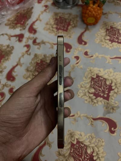 Apple iPhone 13 Pro