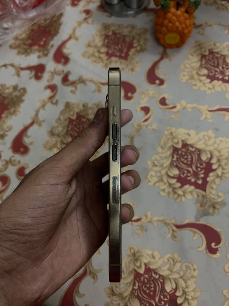 Apple iPhone 13 Pro 0