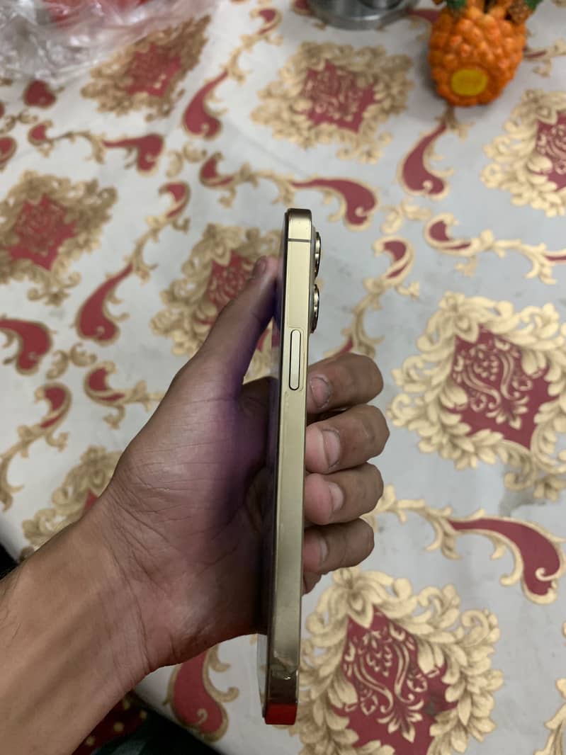 Apple iPhone 13 Pro 1