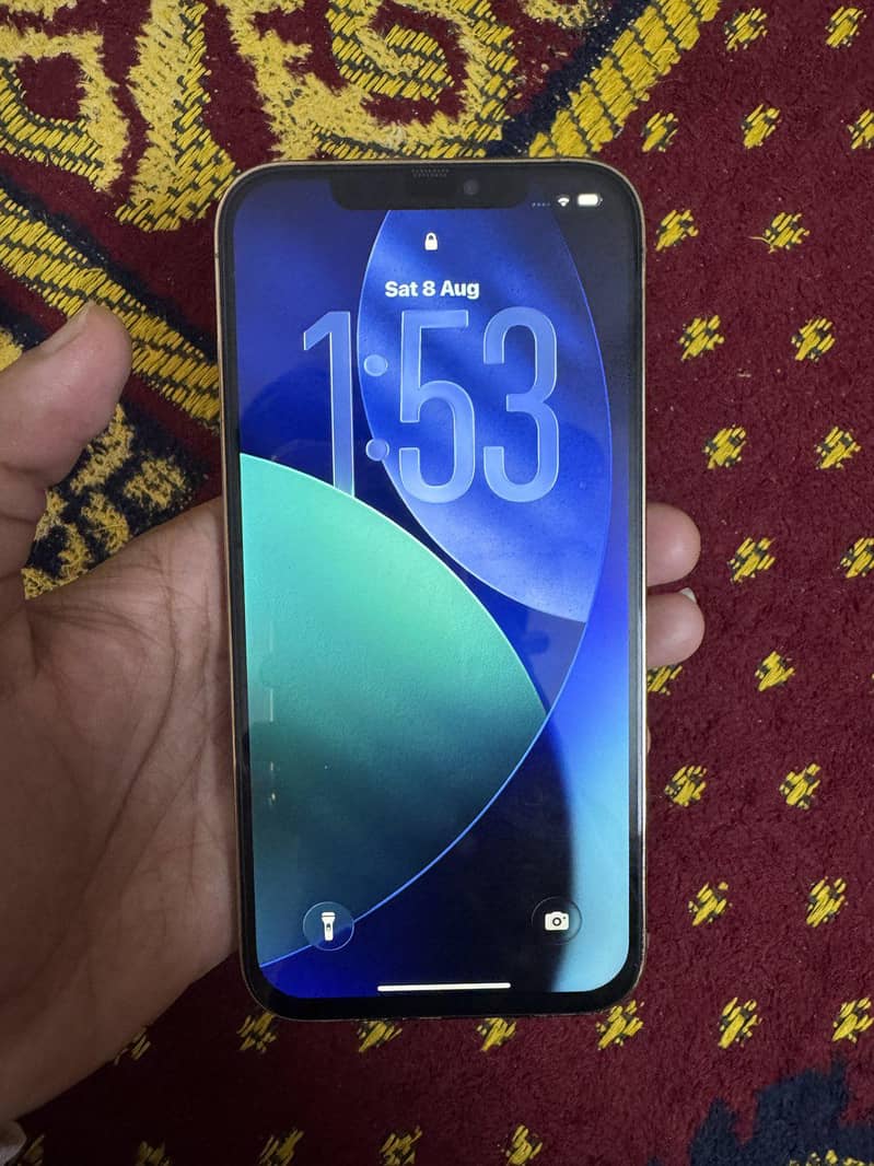 Apple iPhone 12 Pro Max 2