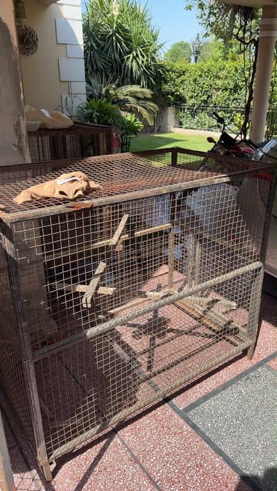 Cage for sale