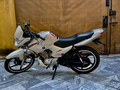 Yamaha YBR 125 2019