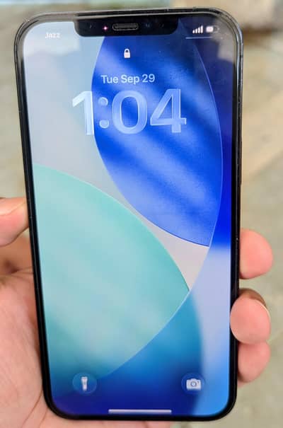 Apple iPhone 12 pro max
