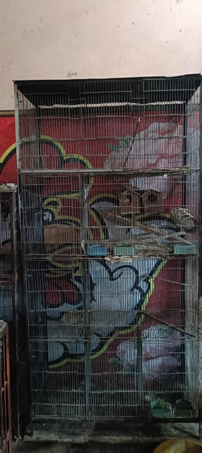 parrot cage